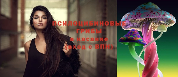 дмт Абинск